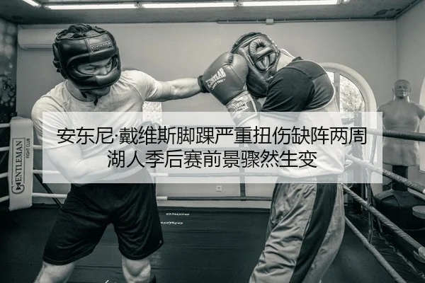 安东尼·戴维斯脚踝严重扭伤缺阵两周 湖人季后赛前景骤然生变