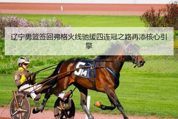 辽宁男篮签回弗格火线驰援四连冠之路再添核心引擎
